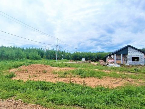 dom-derevnya-kileley-bogorodskiy-municipalnyy-okrug фото