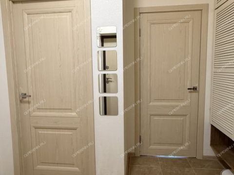 2-komnatnaya-ankudinovka-kstovskiy-rayon фото