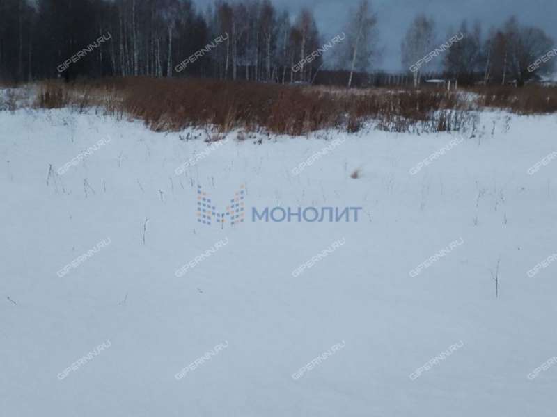 земельный участок под сельхоз назначение в Дальнеконстантиновском районе Нижегородской области