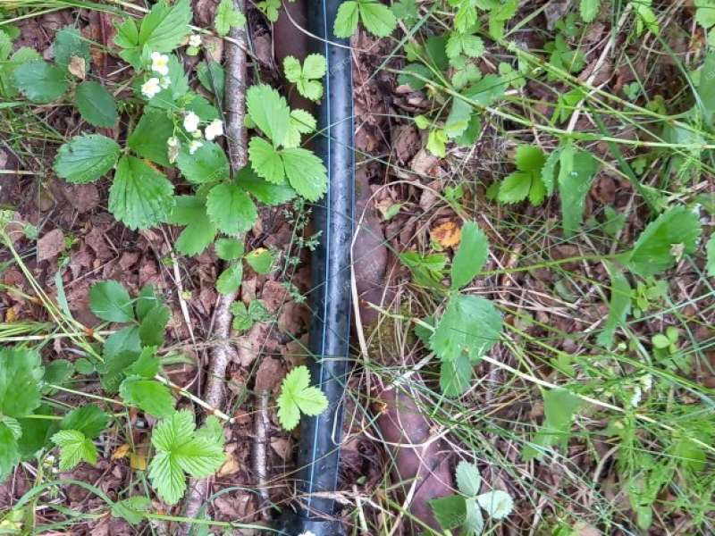 земельный участок 15 соток СНТ Ясная поляна деревня Хмелевая Поляна