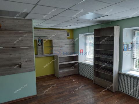 derevnya-berezovka-bogorodskiy-municipalnyy-okrug фото