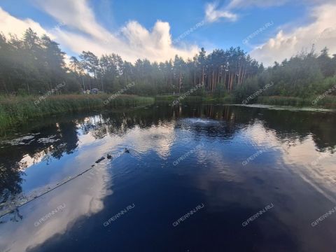 1-komnatnaya-gorod-dzerzhinsk-gorodskoy-okrug-dzerzhinsk фото