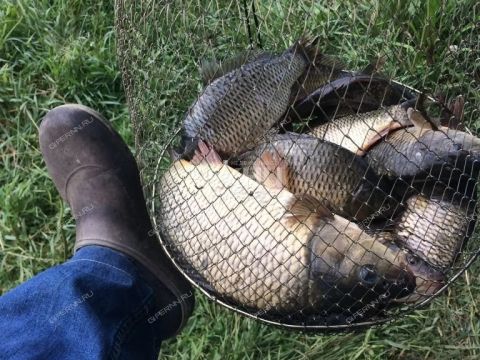 dacha-gorod-dzerzhinsk-gorodskoy-okrug-dzerzhinsk фото