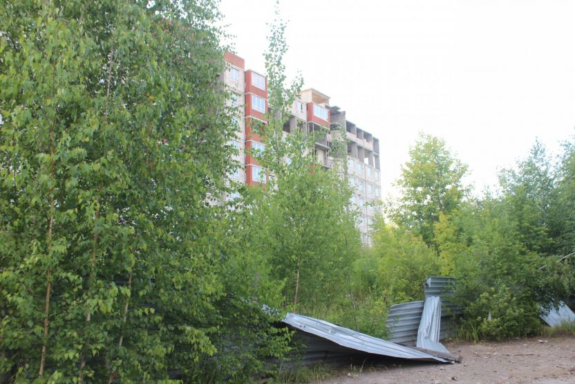 Фото: Ксения Ражева / gipernn.ru