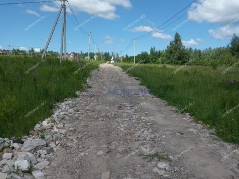 derevnya-burcevo-bogorodskiy-municipalnyy-okrug фото