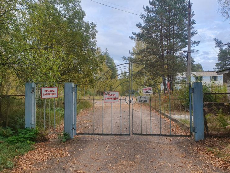 Фото: Ксения Ражева