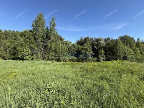 selo-egorevskoe-lyskovskiy-municipalnyy-okrug фото