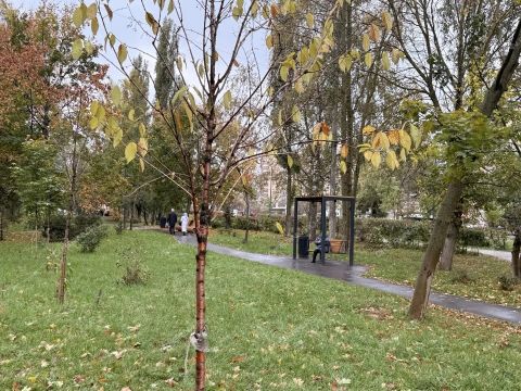 2-komnatnaya-prosp-gagarina-d-210 фото