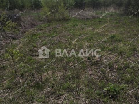 derevnya-apraksino-gorodskoy-okrug-bor фото