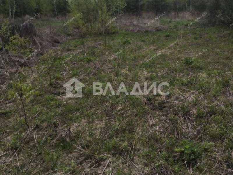 земельный участок 11,87 сотки деревня Апраксино