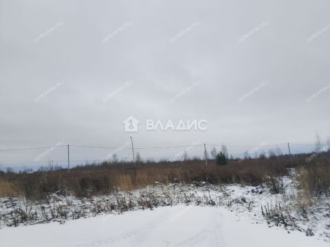 selo-bezvodnoe-kstovskiy-rayon фото