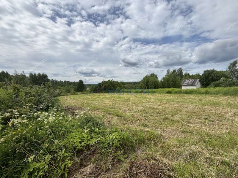 земельный участок 8 соток Рябинино сад