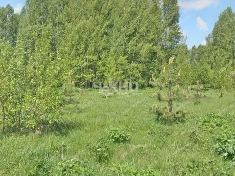 dom-derevnya-kiprevo-gorodeckiy-rayon фото