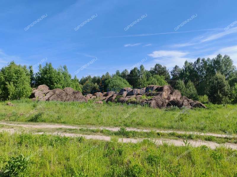 земельный участок 950 соток - деревня Трифакино