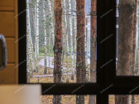 derevnya-berezniki-gorodeckiy-rayon фото