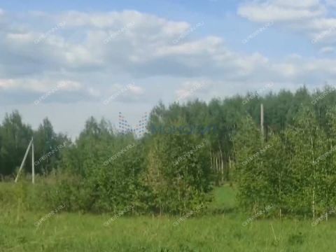 selo-timonkino-gorodskoy-okrug-chkalovsk фото