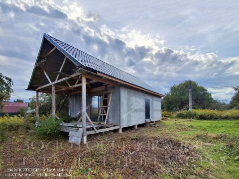 dom-derevnya-ogolihino-gorodskoy-okrug-bor фото