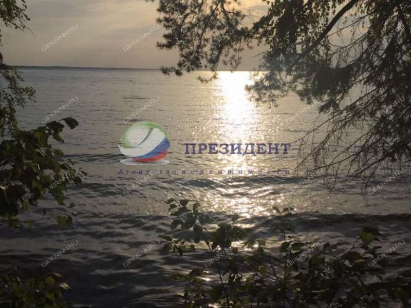 земельный участок 24 сотки деревня Вязовики