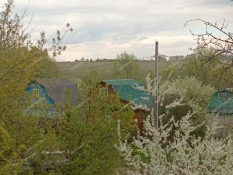 dacha-snt-zheleznodorozhnik-bogorodskiy-municipalnyy-okrug фото