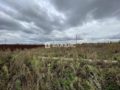 gorod-bor-gorodskoy-okrug-bor фото