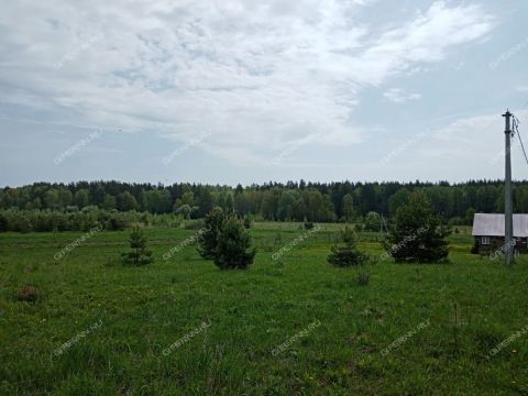 derevnya-nepecino-bogorodskiy-municipalnyy-okrug фото