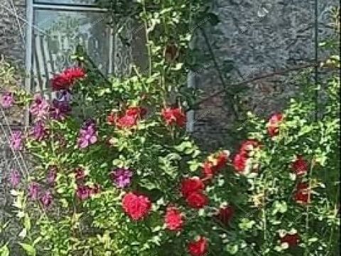 dacha-sortirovka фото