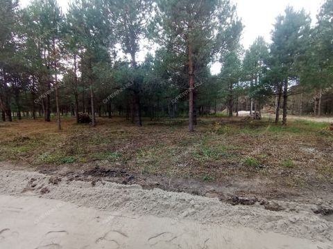 derevnya-ivanovskoe-gorodskoy-okrug-bor фото