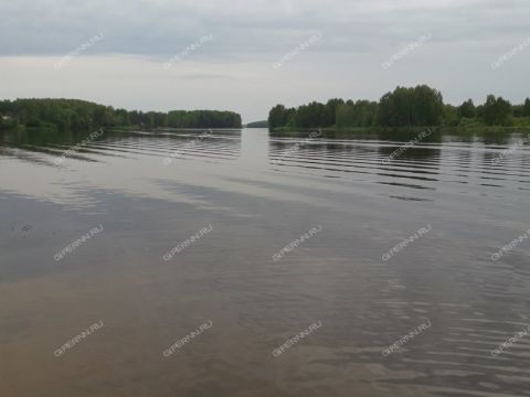derevnya-zabolotnoe-sokolskiy-gorodskoy-okrug фото
