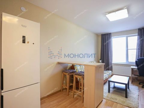 1-komnatnaya-derevnya-ankudinovka-kstovskiy-rayon фото