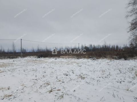 selo-bezvodnoe-kstovskiy-rayon фото