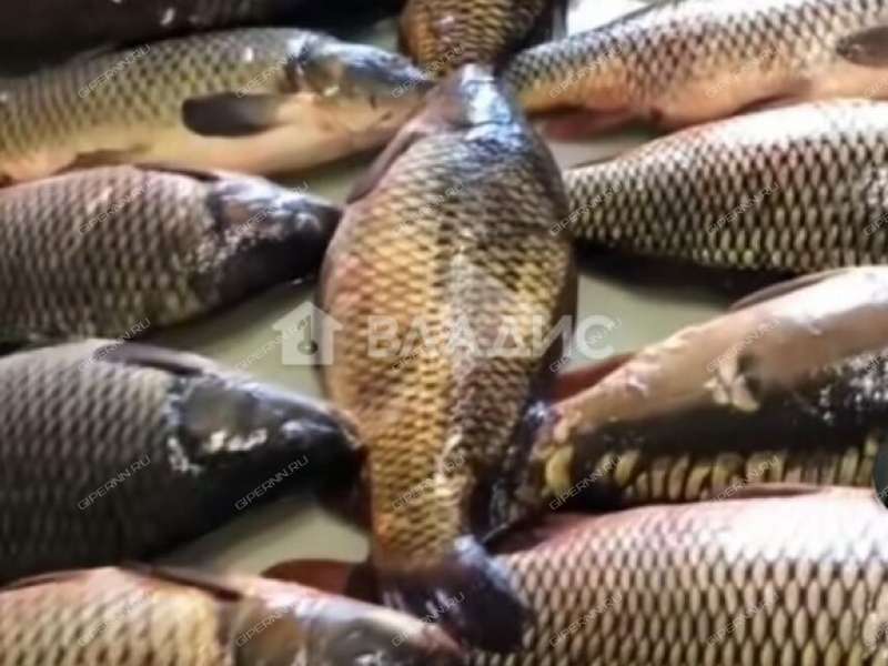 земельный участок 17,69 сотки деревня Крашово