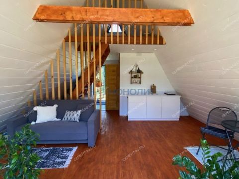 dom-derevnya-pionerskoe-ostankinskiy-selsovet-gorodskoy-okrug-bor фото