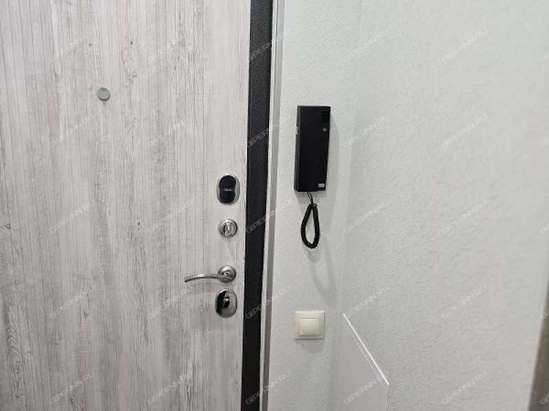 двухкомнатная квартира на проспекте Ленина дом 65 к1