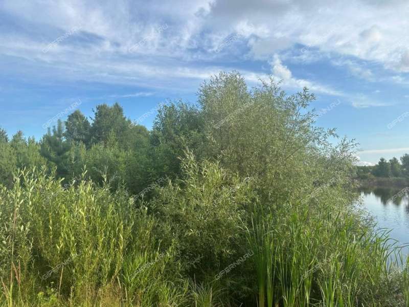 земельный участок 657 соток село Никольское