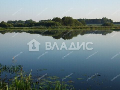 dom-ul-svetlaya-d-59 фото