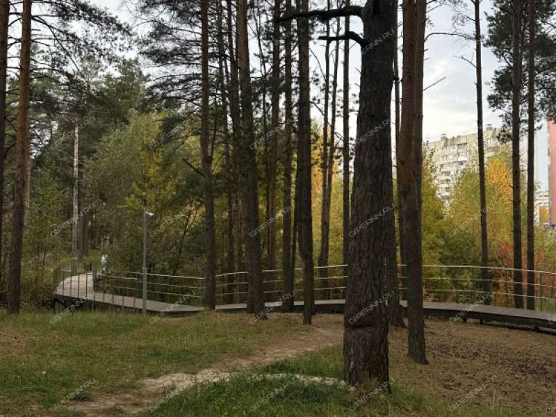 трёхкомнатная квартира на проспекте Циолковского дом 65 город Дзержинск