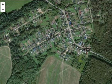 derevnya-lipovki-balahninskiy-municipalnyy-okrug фото