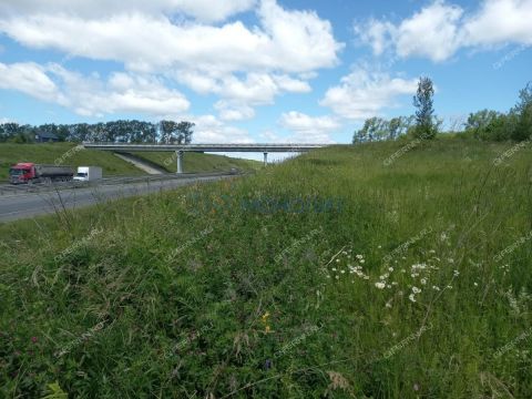 derevnya-krutec-doskinskiy-selsovet-bogorodskiy-municipalnyy-okrug фото