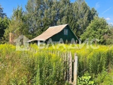 dacha-derevnya-zavrazhnoe-zinyakovskiy-selsovet-gorodeckiy-rayon фото