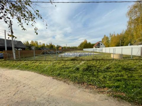 derevnya-nagavicino-gorodeckiy-rayon фото