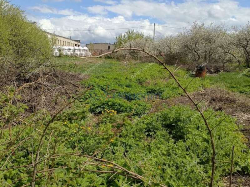 земельный участок 19 соток Центральная улица село Каменки