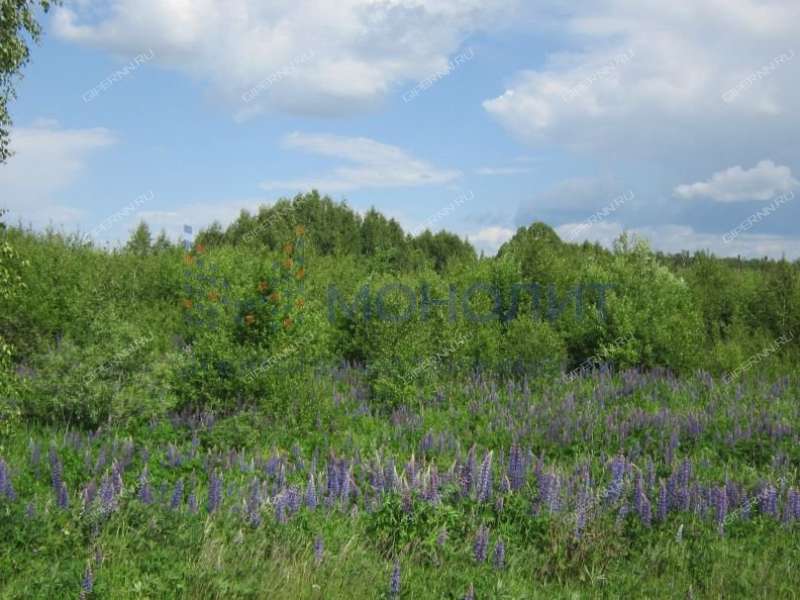 Купить Участок В Деревне Нижегородской Области