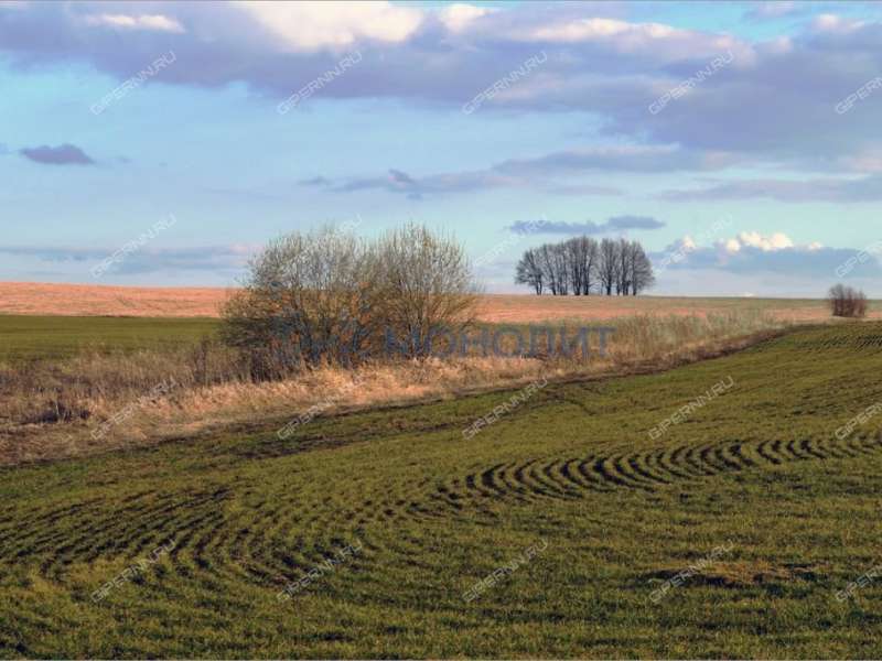 земельный участок под сельхоз назначение в Сергачском районе Нижегородской области
