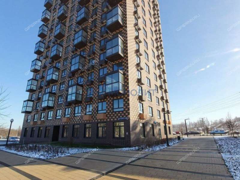 трёхкомнатная квартира на улице Небесная дом 1 деревня Утечино