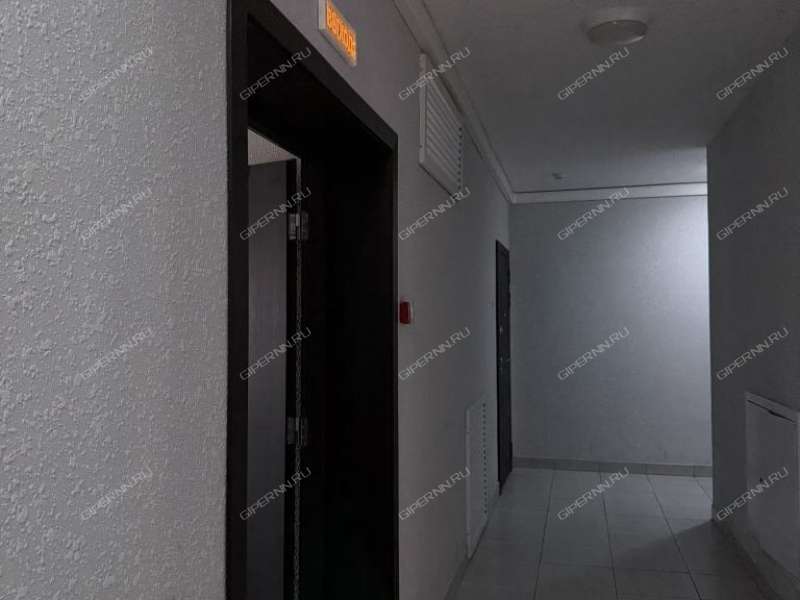 двухкомнатная квартира на Русской улице улице дом 2 деревня Анкудиновка