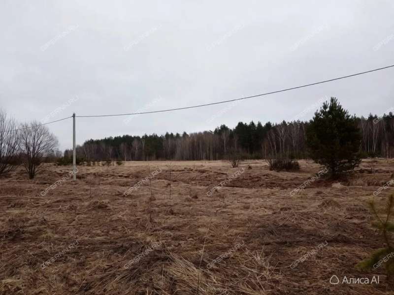 земельный участок под коттеджный посёлок в Богородском районе Нижегородской области