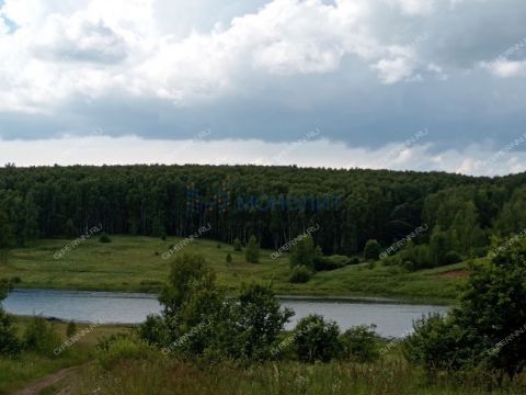 selo-efimevo-bogorodskiy-municipalnyy-okrug фото