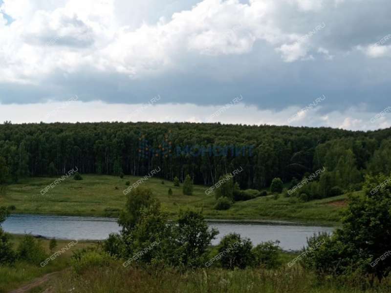 земельный участок 10 соток Ясная улица село Ефимьево