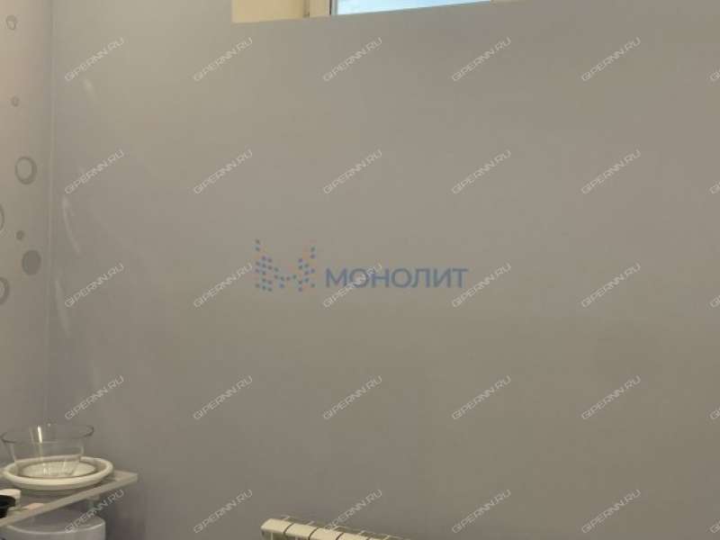 готовый бизнес объект 1609098 в Новинском сельском совете Нижнего Новгорода