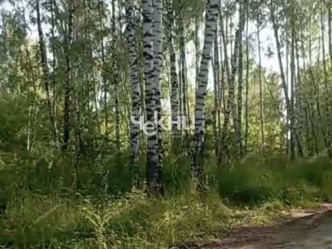 derevnya-dosadino-vadskiy-municipalnyy-okrug фото